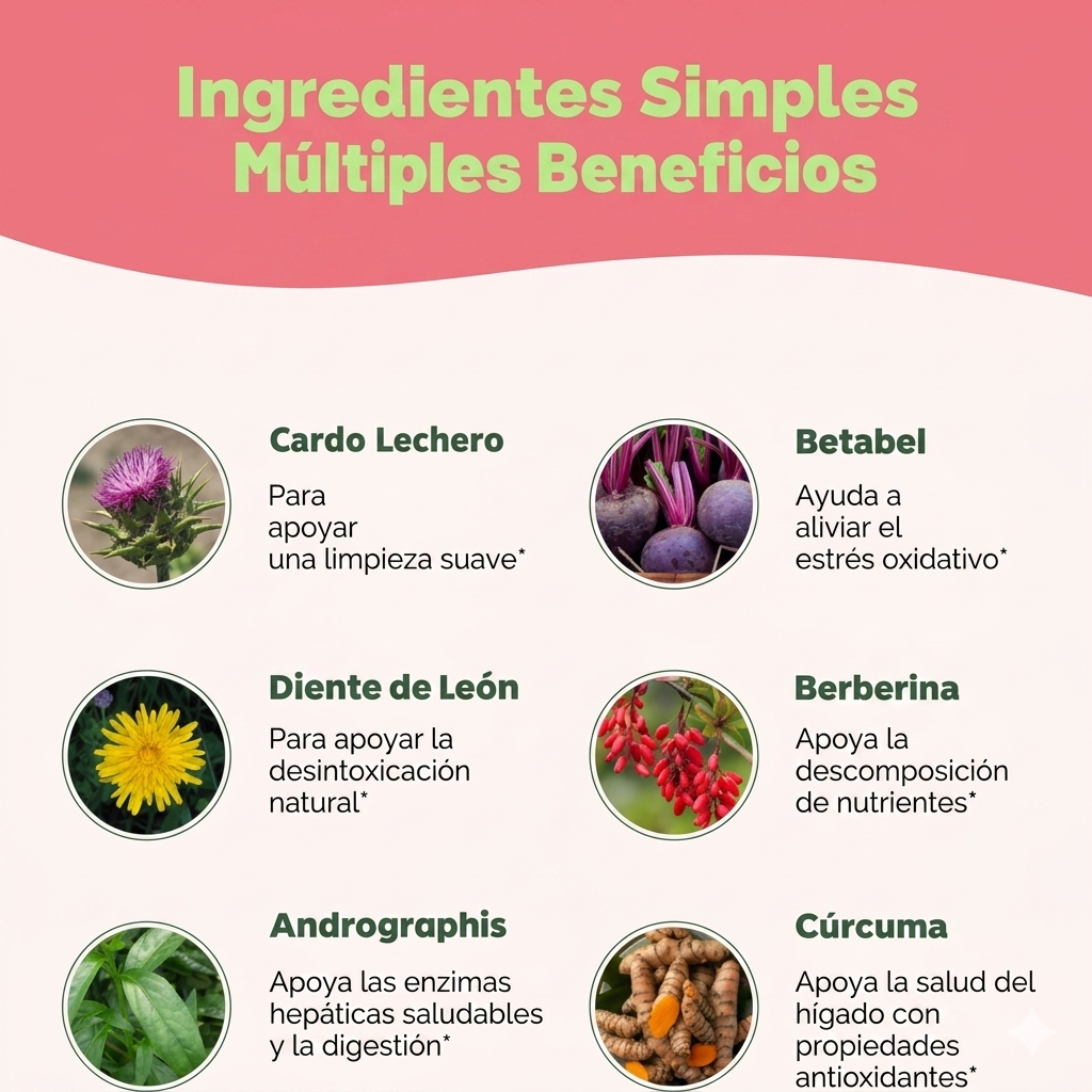 Liver Cleanse® Hígado